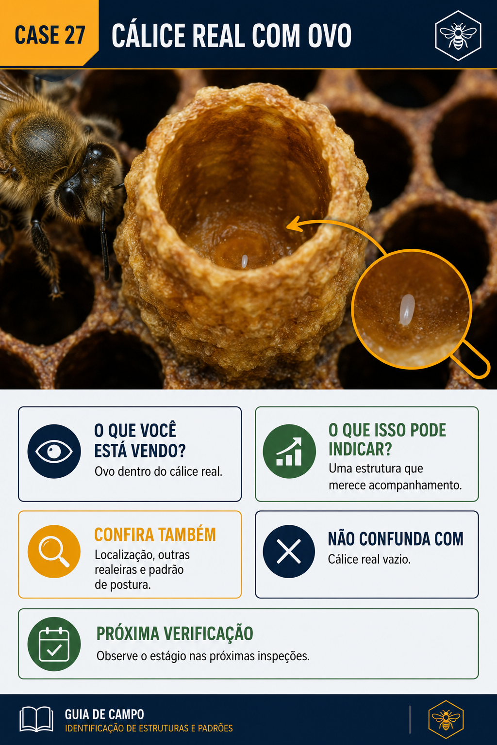 Caso visual de inspeção da colmeia