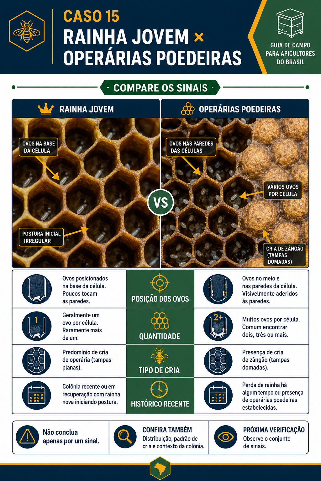 Caso visual de inspeção da colmeia