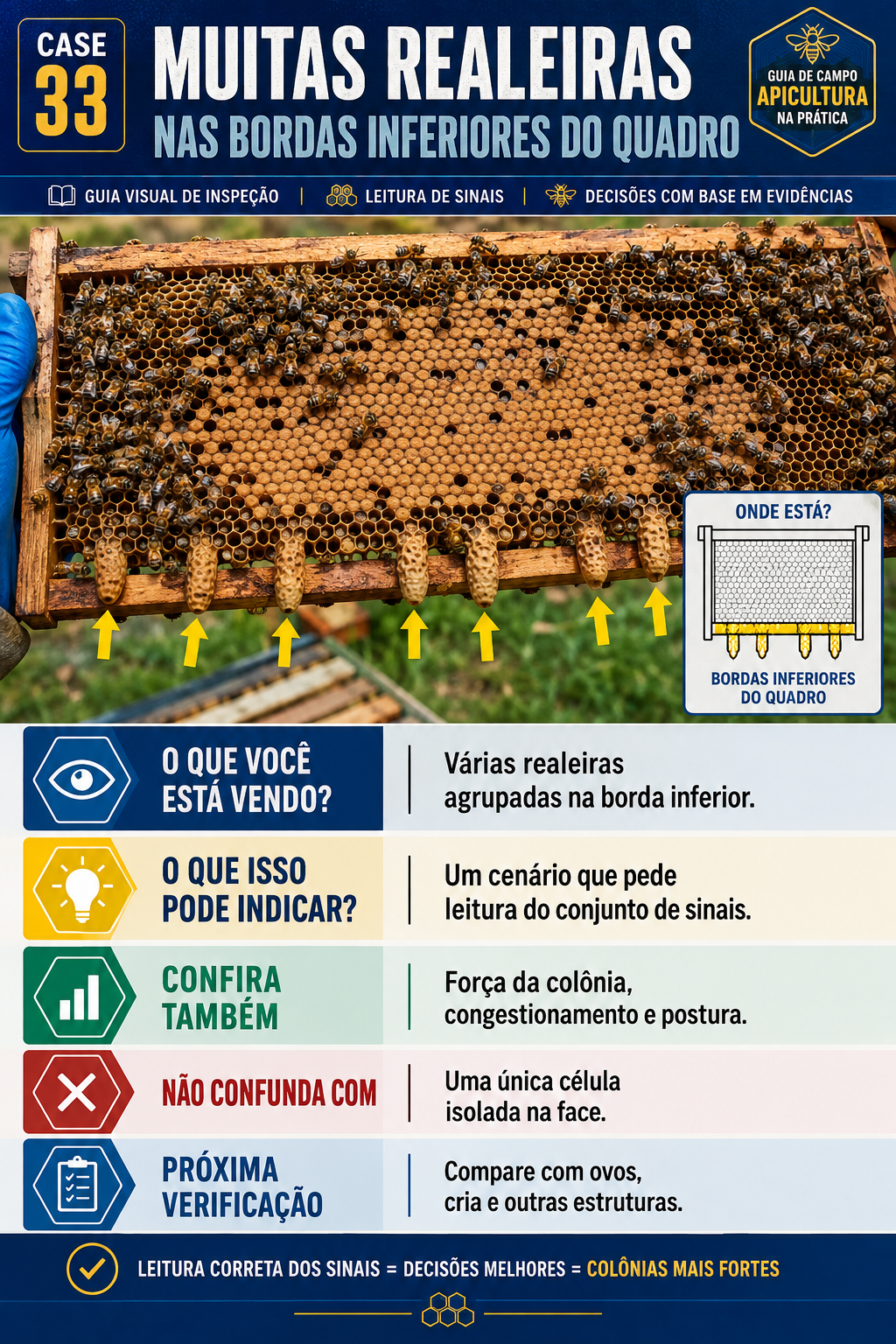 Caso visual de inspeção da colmeia