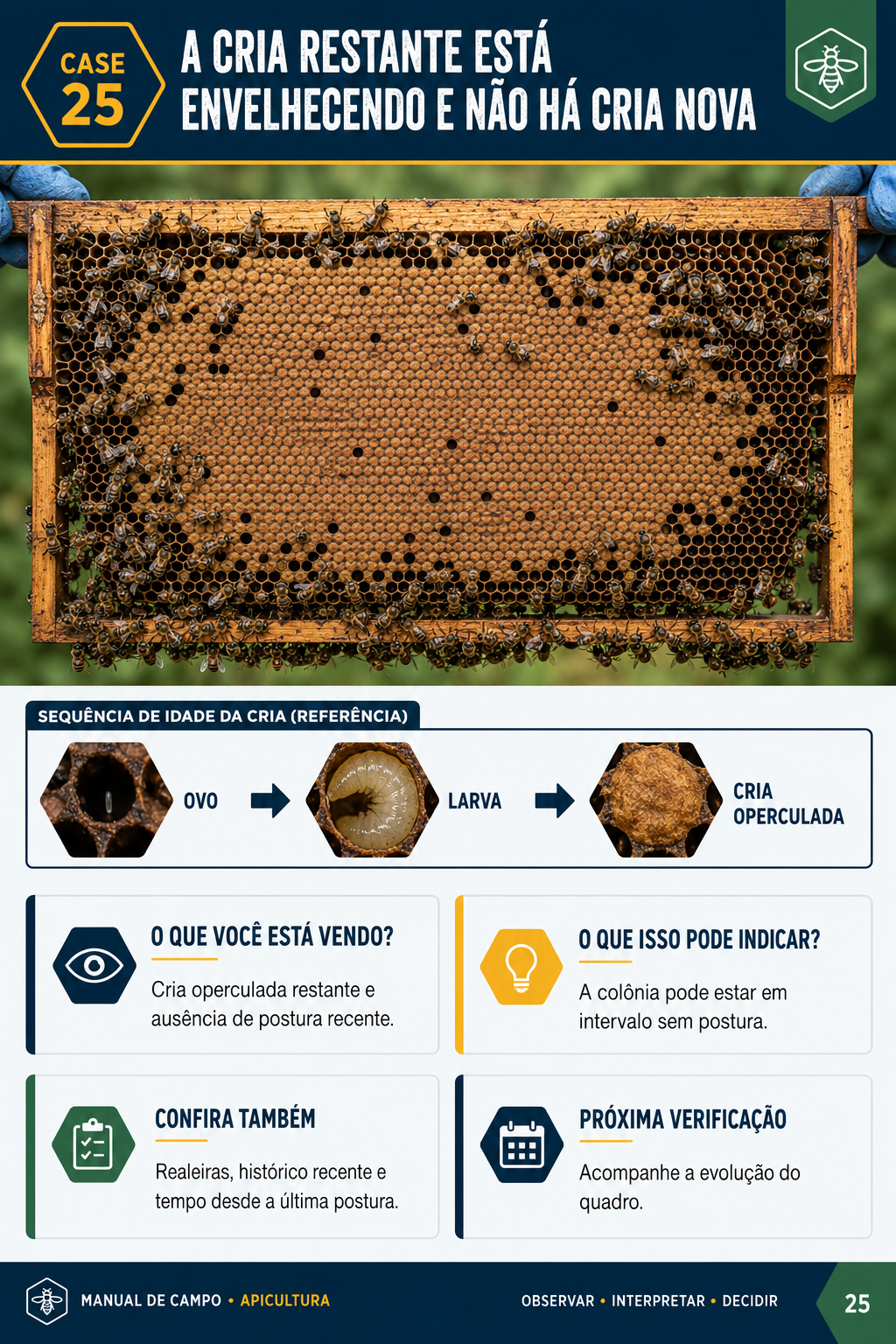 Caso visual de inspeção da colmeia