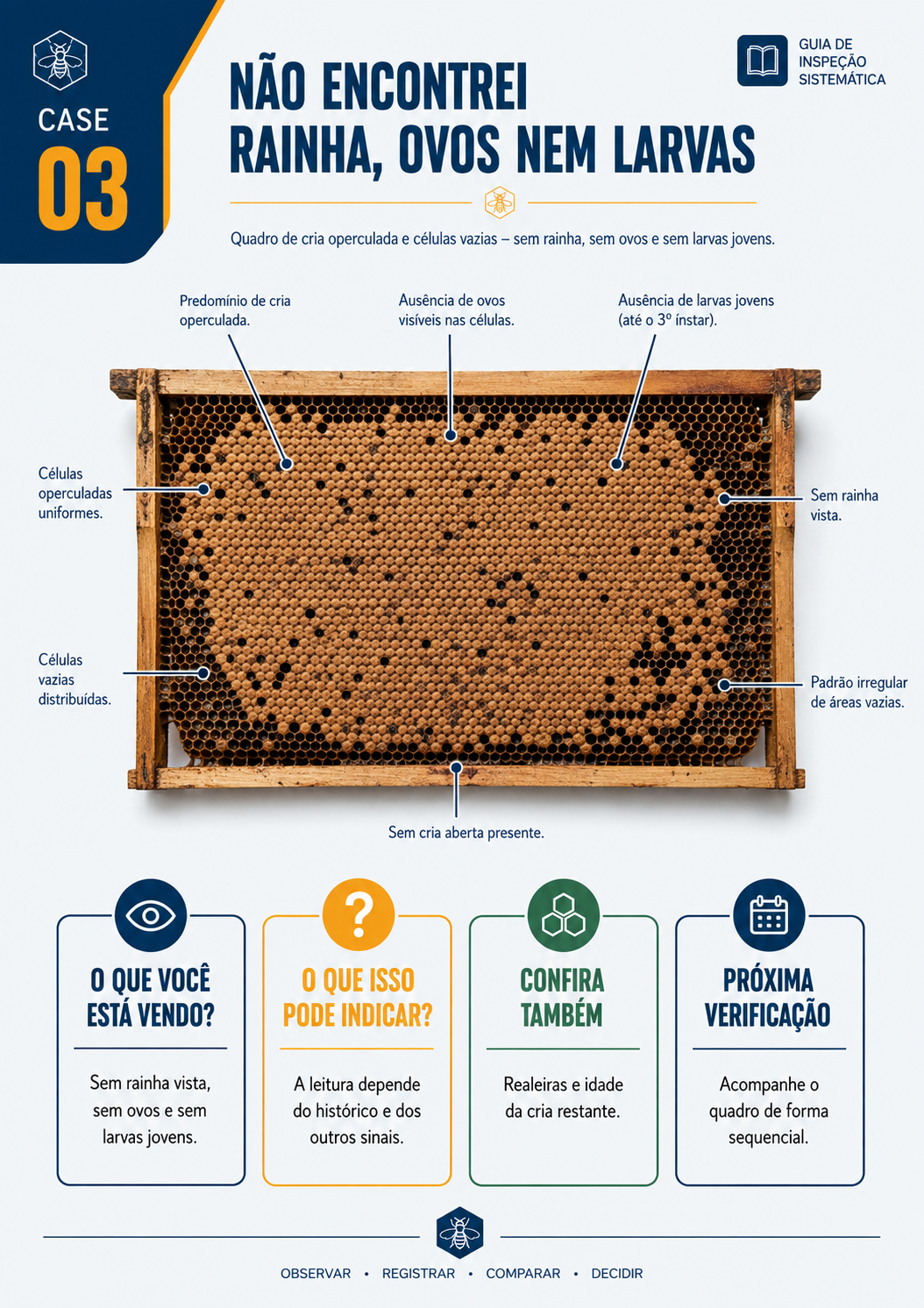 Caso visual de inspeção da colmeia