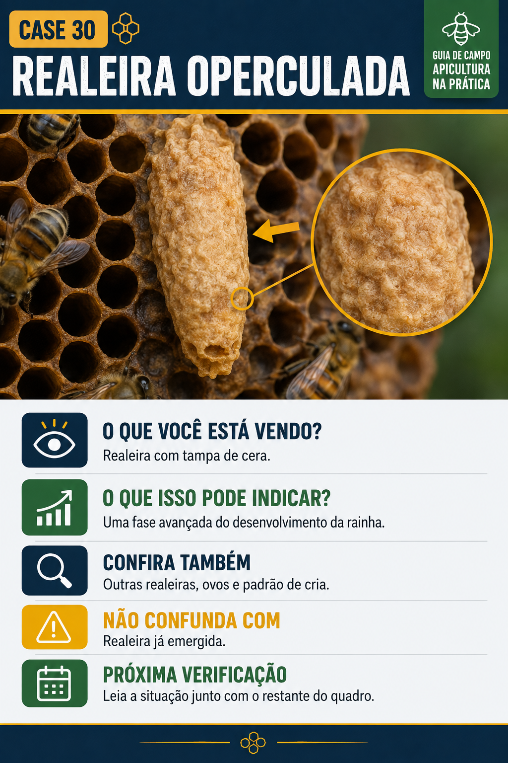 Caso visual de inspeção da colmeia